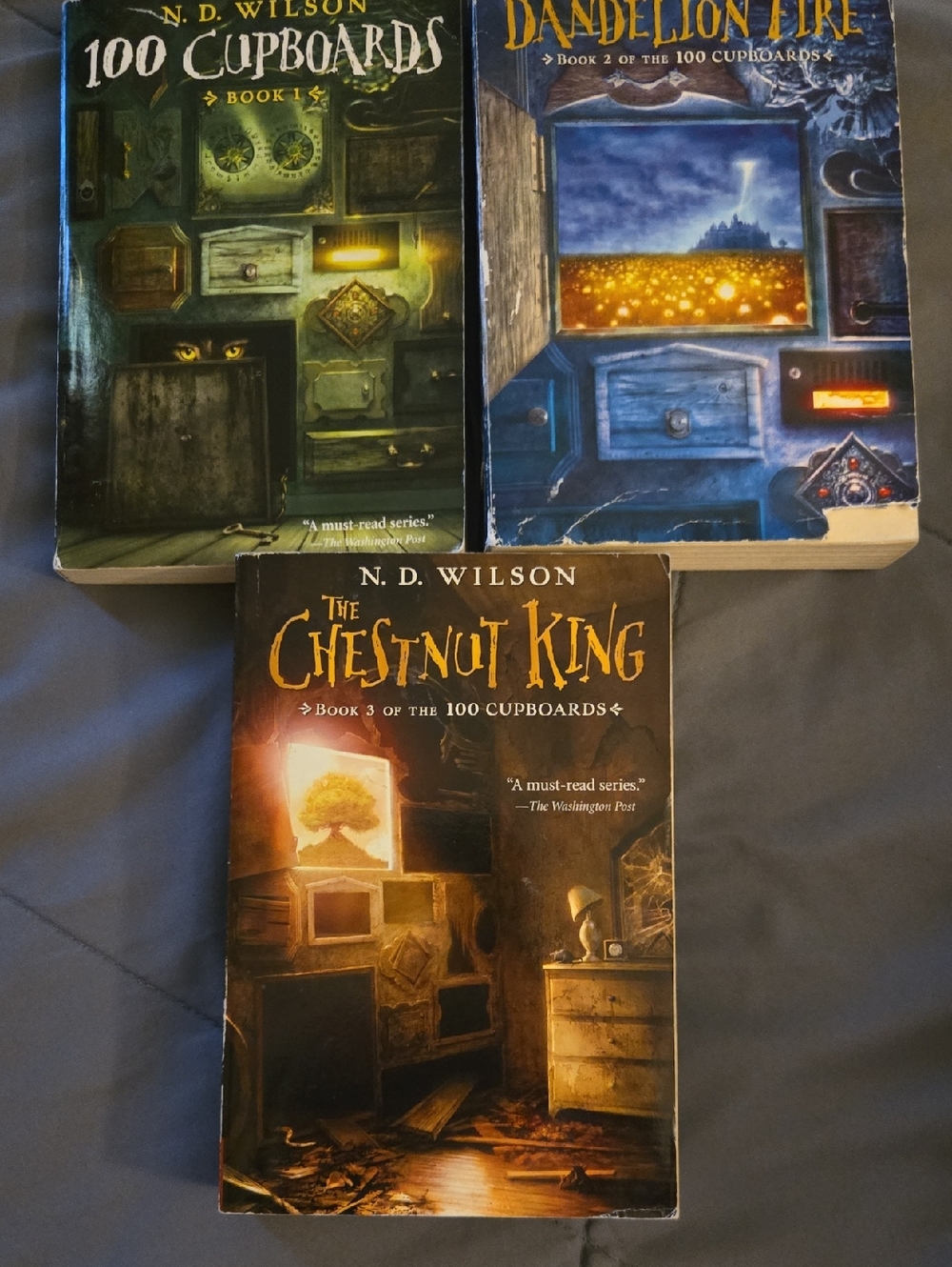 100 Cupboards Book Series